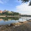 东莞高步江城休闲钓场
