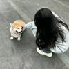 叠个千纸鹤