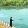 🎣（港）
