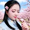 杨扬🧚