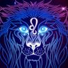 @狮子绅士♌️…