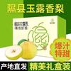 山西隰(xi)县玉露香梨全国包邮