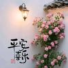 云淡清风