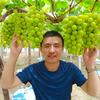 青丰健葡萄三人行-刘建强