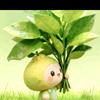 🍀🍀🍀: 青芮寓意美拒绝私聊