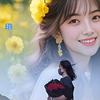 情感文案