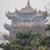 清新柠檬味