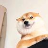 猪脚饭和猪蹄gamelive