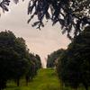 沧沧