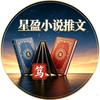 星盈小说推文