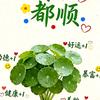 听风说晚安(˘ω˘)✩