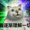主力的思与做