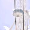 兔子急了要前空翻