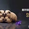 快乐主播