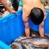 东莞塘厦68钓鱼场