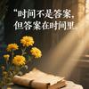 影子D回忆