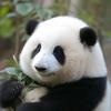 阿饶的LaCrosse