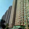 建安汇用户头像