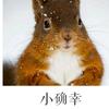 乖！