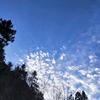 狂野