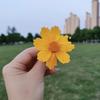 静心🥰