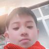 两个宝