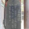黑日晨曦