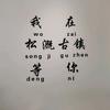 太阳光