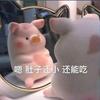 ✨最爱喝兽奶✨