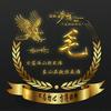 毛毛姐