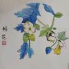淘淘乐乐