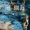 海鸟跟鱼相爱