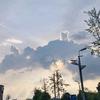 晓晨