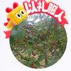 有李在先