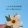 余家大小姐