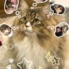 薇_Vivian．