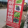 启航7327
