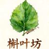 槲叶坊