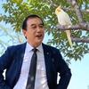 文阁文摘