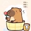 张思华