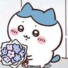 香芋