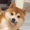 小汽车修理工