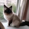 点点🐱妈妈