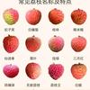 胡吊卖