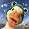 《飛狐哥》