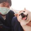 猫犬相闻-护宠阿杰