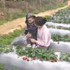 小家家～有关必回