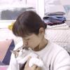 我和我的猫