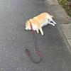 风予何