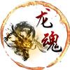 龙魂国际